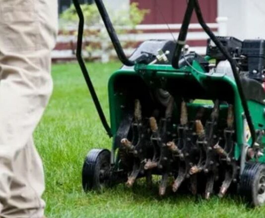 Садовый аэратор: зачем он нужен и как его использовать