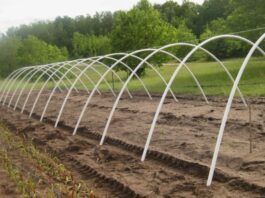 Металлические дуги для парника: преимущества, изготовление и установка