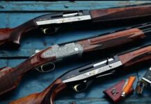 Гладкоствольное оружие: история, типы и применение