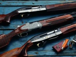 Гладкоствольное оружие: история, типы и применение