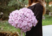 Нежный букет из 15 розовых хризантем: идеальное сочетание для любого случая