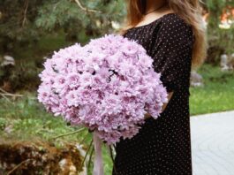 Нежный букет из 15 розовых хризантем: идеальное сочетание для любого случая