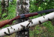 Гладкоствольное ружьё для охоты: особенности и выбор
