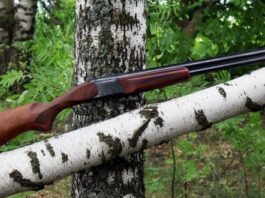 Гладкоствольное ружьё для охоты: особенности и выбор