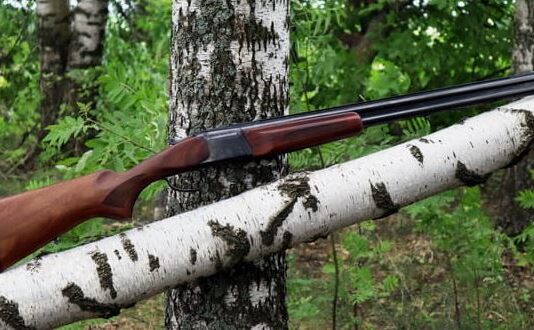 Гладкоствольное ружьё для охоты: особенности и выбор