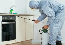 Профессиональная обработка от тараканов: полный гид по этапам и методам