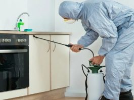 Профессиональная обработка от тараканов: полный гид по этапам и методам